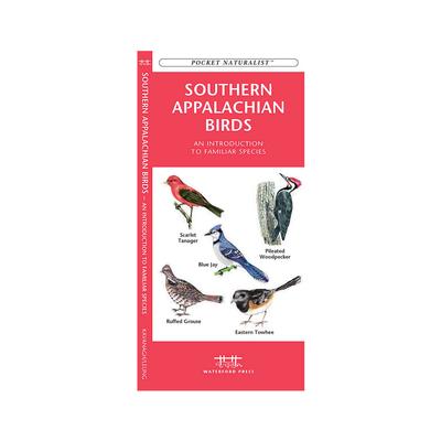 Southern Appalachian Birds