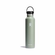 Insulated Standard Mouth Bottle - 24 Ounce : AGAVE