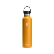 Insulated Standard Mouth Bottle - 24 Ounce : FOSSIL