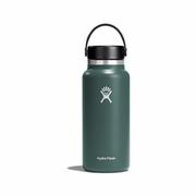 Insulated Wide Mouth Bottle - 32 Ounce : FIR