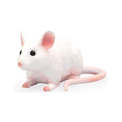 Mojo White Mouse Toy