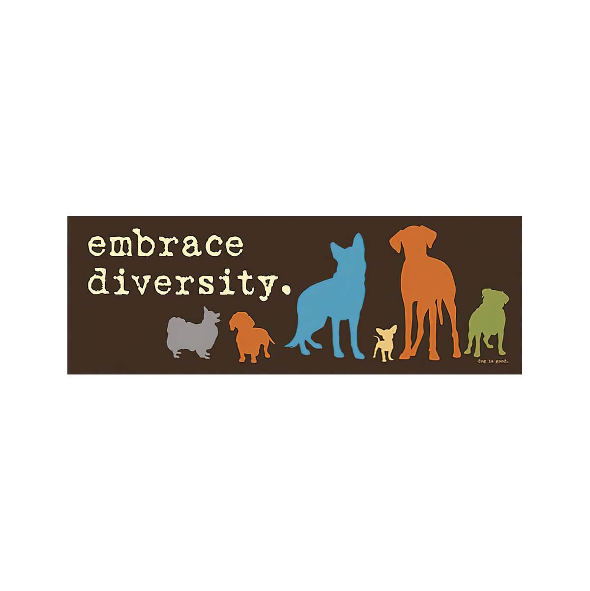  Embrace Diversity Bumper Magnet