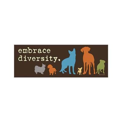 Embrace Diversity Bumper Magnet