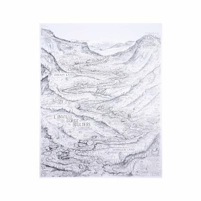 Vertical View Linville Gorge Boulders Art Print