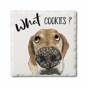 Naughty Pets Single Tile Coaster: WHAT_COOKIES