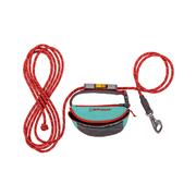 Hitch Hiker Dog Leash: AURORA_TEAL