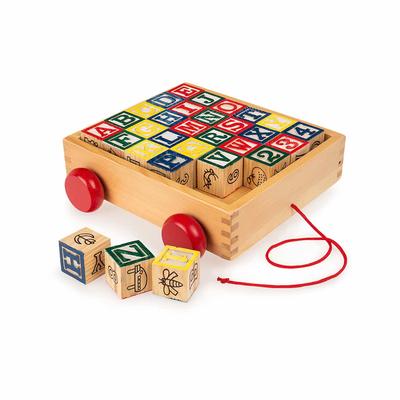 Alphabet Blocks 48 Pcs. - The Toy Box Hanover