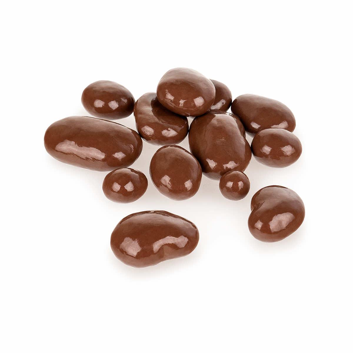  Milk Chocolate Pecans Candy - 1 Lb.