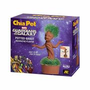 Chia Pet Potted Groot 
