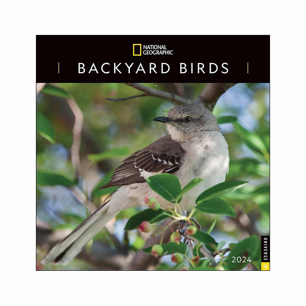  National Geographic Backyard Birds 2024 Wall Calendar