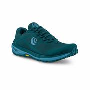 Women's Terraventure 4 Trail Running Shoes: BLUE_BLUE