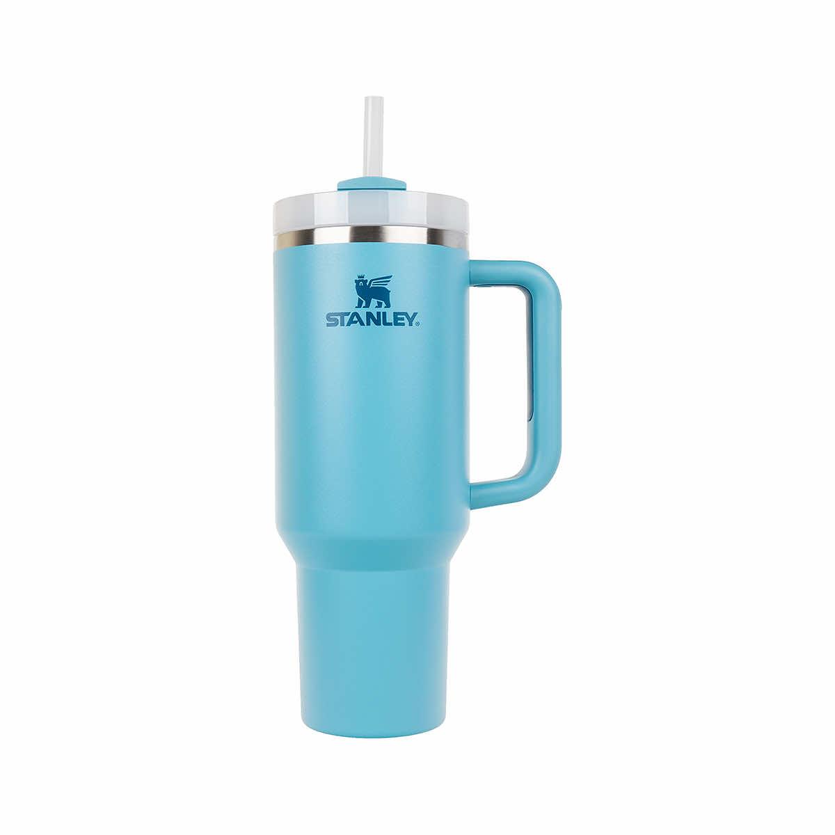 Stanley Quencher H2.0 FlowState Tumbler | 30 oz, Fog