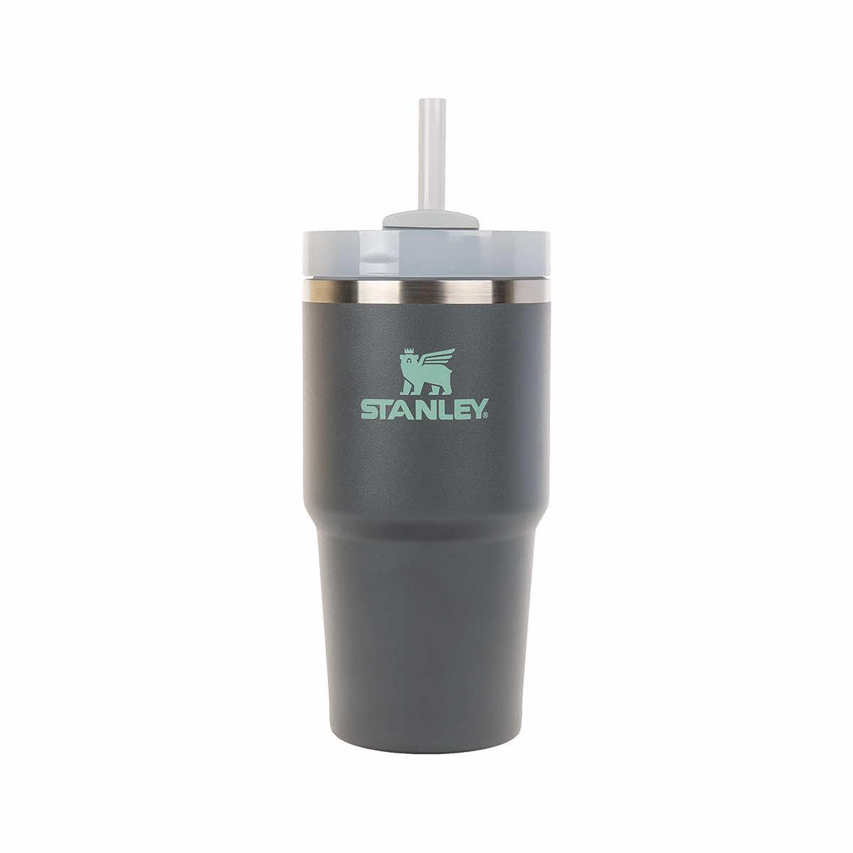 Stanley Quencher H2.0 FlowState Stainless Steel Vacuum Insulated Tumbler  with Lid and Straw for Water, Iced Tea or Coffee, Smoothie and More 30oz