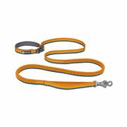 Roamer Bungee Dog Leash: YELLOW_SNOW