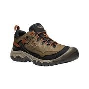 Men's Targhee IV Waterproof Hiking Shoes: SEATURTLE
