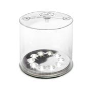 Luci Original Solar Inflatable Lantern: CLEAR