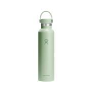 Hydro Flask Insulated Standard Mouth Color Matching Bottle - 24 Ounce : ALOE